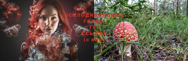 дживик Гусь-Хрустальный
