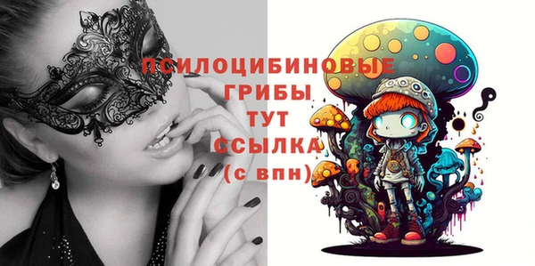 не бодяженный Гусиноозёрск