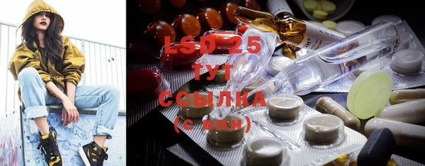 дживик Гусь-Хрустальный